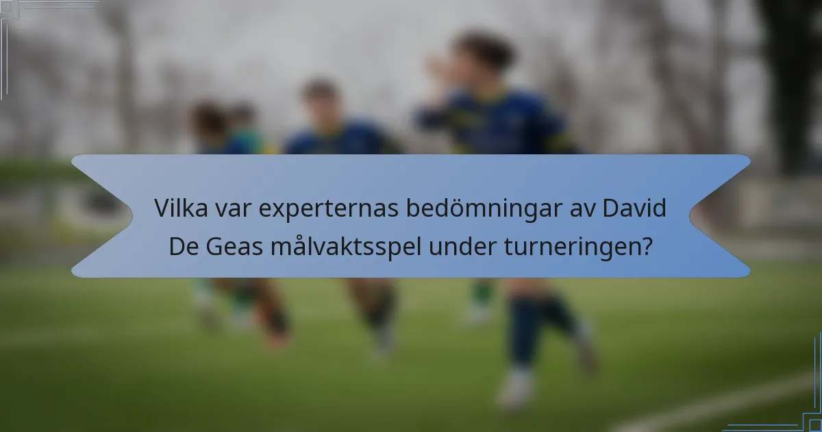 Vilka var experternas bedömningar av David De Geas målvaktsspel under turneringen?